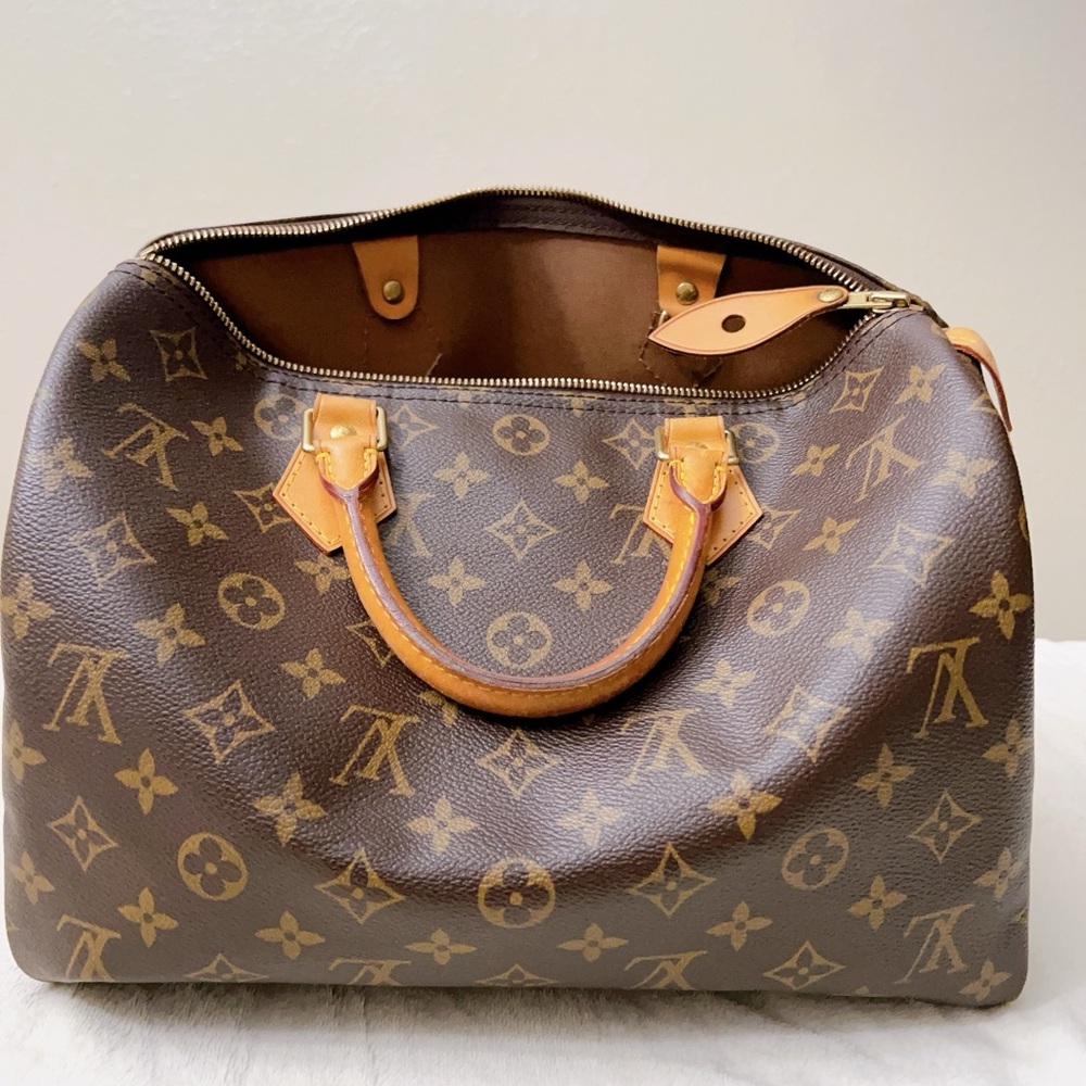 Louis Vuitton Monogram Canvas with Tan Accents